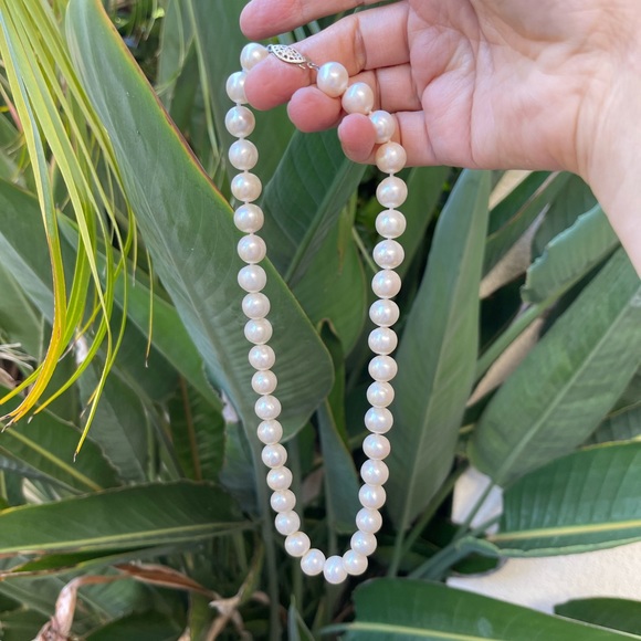 High quality cultured freshwater 11 mm pearl solid sterling silver necklace - Picture 11 of 12